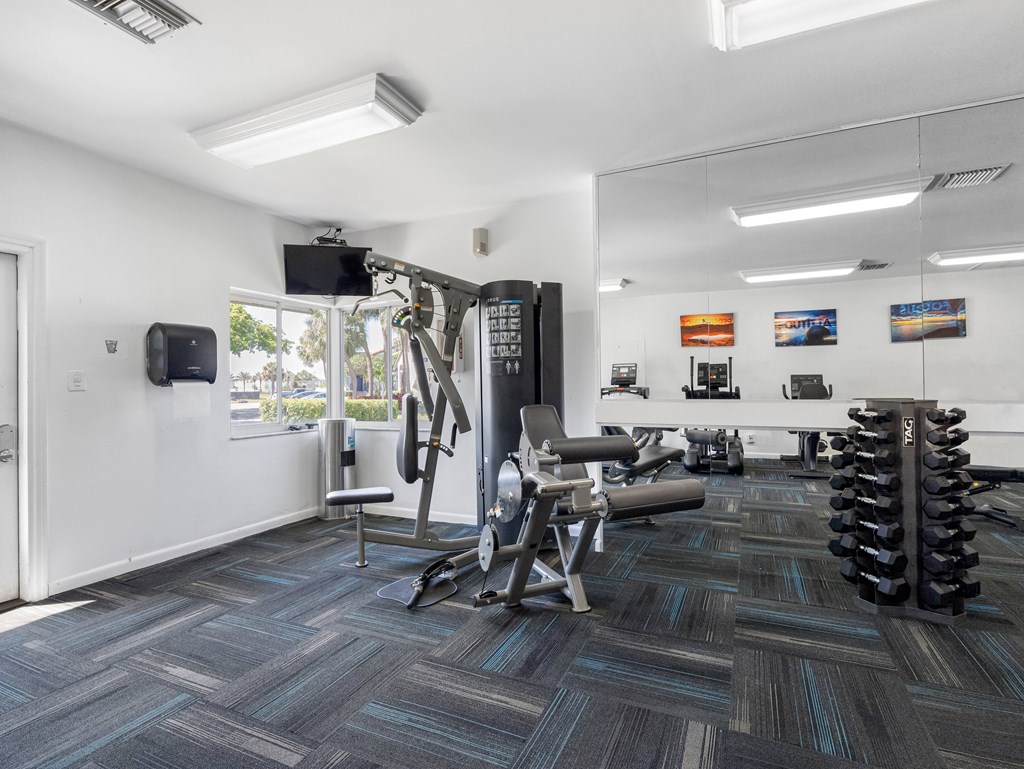 A gym with a variety of equipment including a weight rack, bench, and dumbbells.